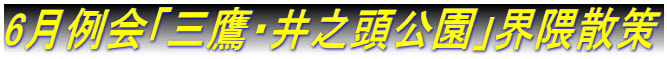 6月例会「三鷹・井之頭公園」界隈散策