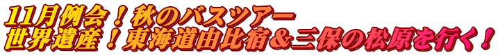 １１月例会！秋のバスツアー 世界遺産！東海道由比宿＆三保の松原を行く！