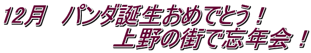 12月　パンダ誕生おめでとう！ 　　　　　　　上野の街で忘年会！